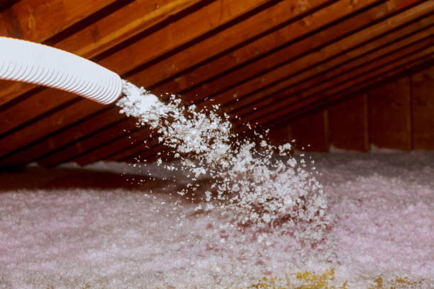 Best Cellulose Insulation in Lehi, UT