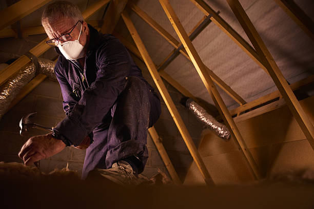 Best Eco-Friendly Insulation in Lehi, UT
